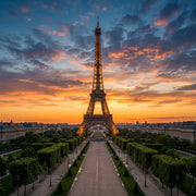 France eSIM