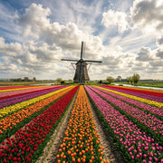 Netherlands eSIM