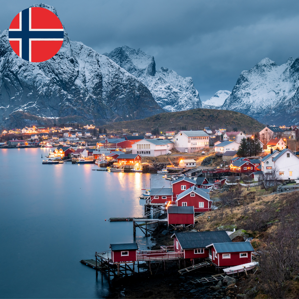 Norway Visa for Indians | Tourist, Business & Transit | Fast Processing, Expert Guidance, No Hidden Fees, 100% Online – Apply Hassle-Free Now!