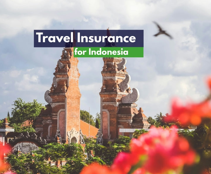 International Travel Insurance for Indonesia